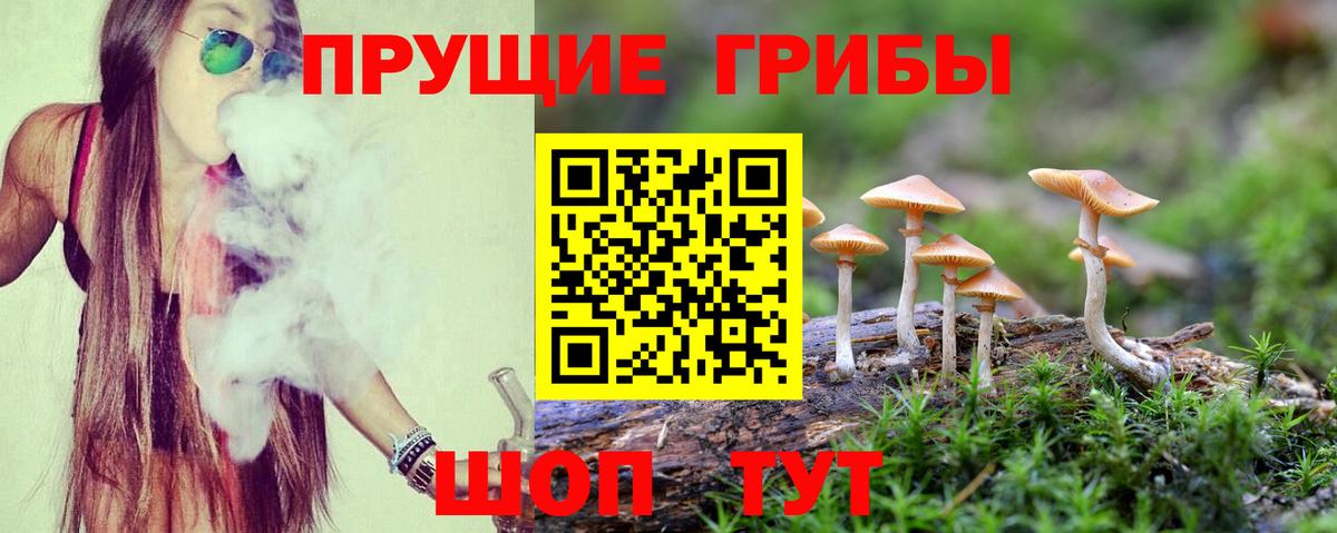 Псилоцибиновые грибы Psilocybe Евпатория
