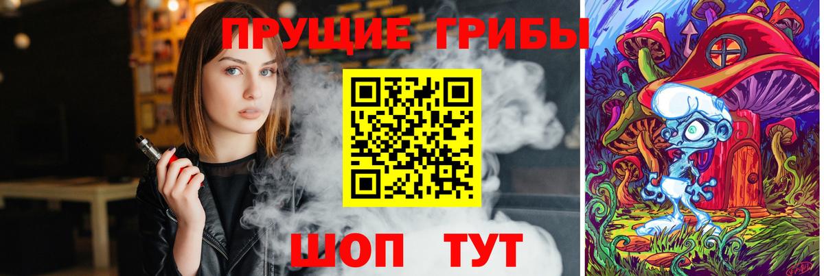 Евпатория  Псилоцибиновые грибы GOLDEN TEACHER  Вход с VPN 